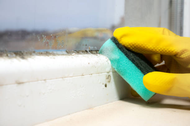 Crawl Space Mold Removal in Chesapeake, OH