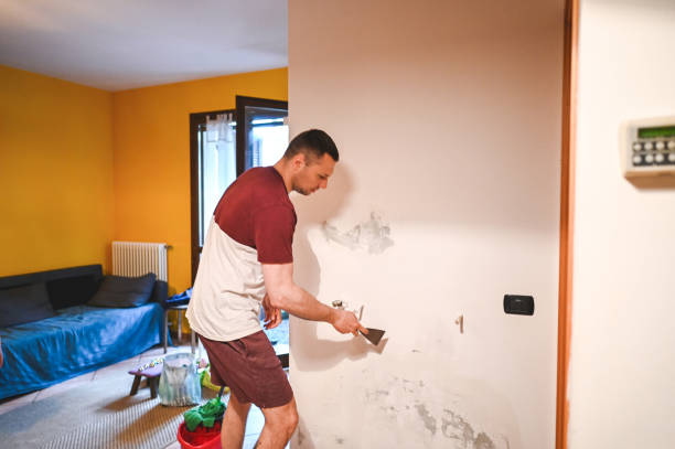 Office Mold Removal Services in Chesapeake, OH